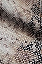 view 7 of 6 Matteo Snake Jacket in Light Snake