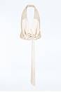 view 5 of 5 Cyrielle Top in Champagne
