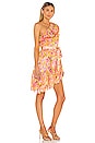 view 2 of 4 Nesh Mini Dress in Yellow