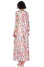 view 3 of 4 Leila Maxi Dress in Multicolor