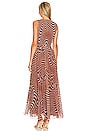 view 3 of 4 Maxi Dress in Brown Zebra Print