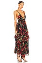 view 2 of 3 Maxi Dress in Black & Red Roses