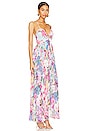 view 2 of 3 Aster Maxi Dress in Pink & Powder Blue