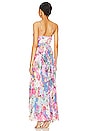 view 3 of 3 Aster Maxi Dress in Pink & Powder Blue