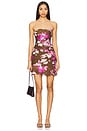 view 1 of 3 Mini Dress in Brown Pink