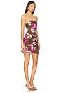 view 2 of 3 Mini Dress in Brown Pink