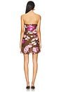 view 3 of 3 Mini Dress in Brown Pink