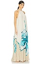 view 2 of 3 Flared Maxi Dress in Beige Blue