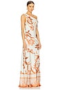 view 2 of 3 One Shoulder Maxi Dress in Beige Brown