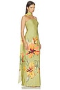 view 3 of 4 ROBE MAXI STRAPLESS MAXI DRESS WITH FRINGE in Olive