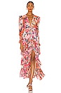 view 1 of 4 Peony Maxi Dress in Multi