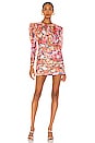 view 1 of 4 MINIVESTIDO PEONY in Multi