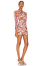 view 2 of 4 MINIVESTIDO PEONY in Multi