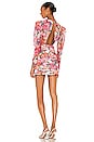 view 3 of 4 MINIVESTIDO PEONY in Multi