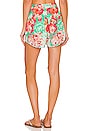 view 3 of 4 Shorts in Mint Green & Coral