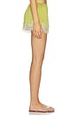 view 3 of 6 Drawstring Shorts in Olive