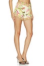view 2 of 6 Hot Shorts in Multi