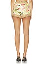 view 4 of 6 Hot Shorts in Multi
