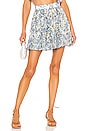 view 1 of 5 Braw Mini Skirt in Multihued
