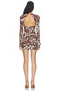 view 4 of 4 Dress in Brown