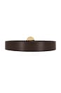 view 2 of 3 Pertie Belt in Chocolate Stone