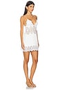 view 2 of 3 Karlie Dress in Ivory