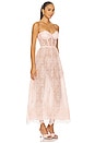 view 2 of 4 Kendy Lace Dress in Peche