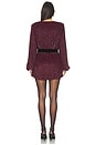 view 3 of 4 Lilai Dress in Port