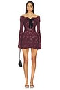 view 1 of 4 Perdita Lace Dress in Port