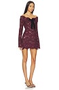 view 2 of 4 Perdita Lace Dress in Port