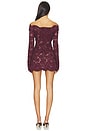 view 3 of 4 Perdita Lace Dress in Port