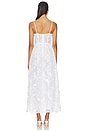 view 3 of 4 Noema Lace Dress in White & Silver