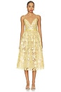 view 1 of 4 Eulalia Lace Dress in Yuzu