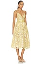 view 2 of 4 Eulalia Lace Dress in Yuzu