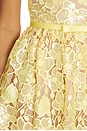 view 4 of 4 Eulalia Lace Dress in Yuzu