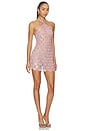 view 2 of 4 Ninette Embroidered Mini Dress in Rosa