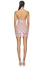 view 3 of 4 Ninette Embroidered Mini Dress in Rosa