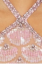 view 4 of 4 Ninette Embroidered Mini Dress in Rosa