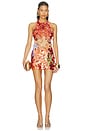 view 1 of 5 VESTIDO DOROTHY  in Geranium & Multi