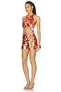 view 3 of 5 VESTIDO DOROTHY  in Geranium & Multi
