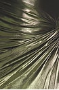 view 6 of 5 VESTIDO ALDER  in Metallic Army Green