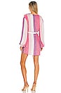 view 3 of 4 Gabrielle Dress in Multi Pink Stripe