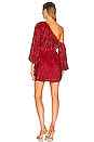 view 3 of 4 Giselle Dress in Ruby