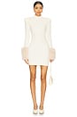 view 1 of 5 Jane Faux Fur Dress in Winter White & Cream