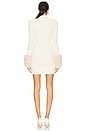 view 4 of 5 Jane Faux Fur Dress in Winter White & Cream