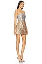 view 2 of 4 Kameron Dress in Silver & Gold