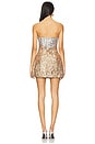 view 3 of 4 Kameron Dress in Silver & Gold