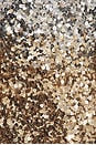 view 4 of 4 Kameron Dress in Silver & Gold