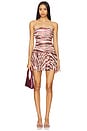 view 1 of 3 Shaniece Dress in Earl Rose Zebra