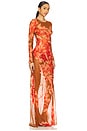 view 2 of 3 Vienna Dress in Geranium Reverie